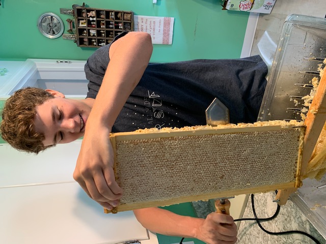 Jack, Young Beekeeper