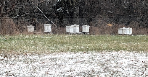 Steppingstone Farm Museum Apiary with snow